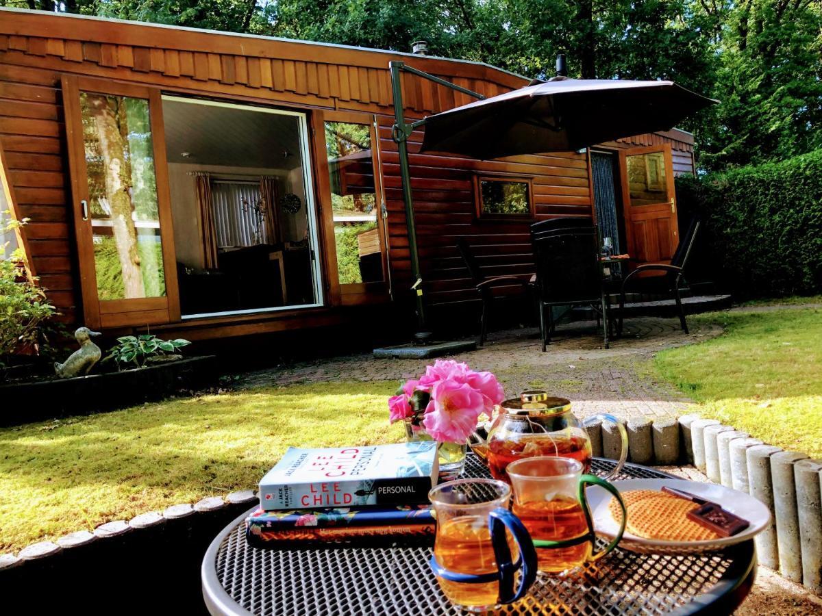 Cedar Cottage Veluwe Ermelo Zewnętrze zdjęcie
