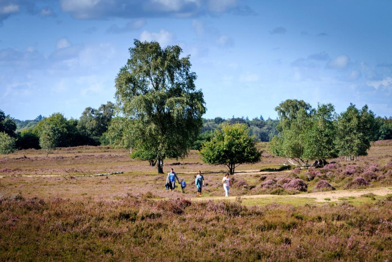 Cedar Cottage Veluwe Ermelo Zewnętrze zdjęcie